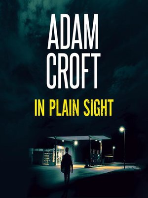cover image of In Plain Sight